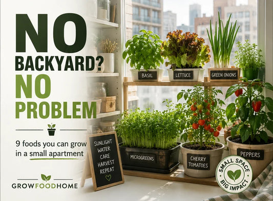 No Backyard? No Problem: 9 Foods You Can Grow in a Small Apartment