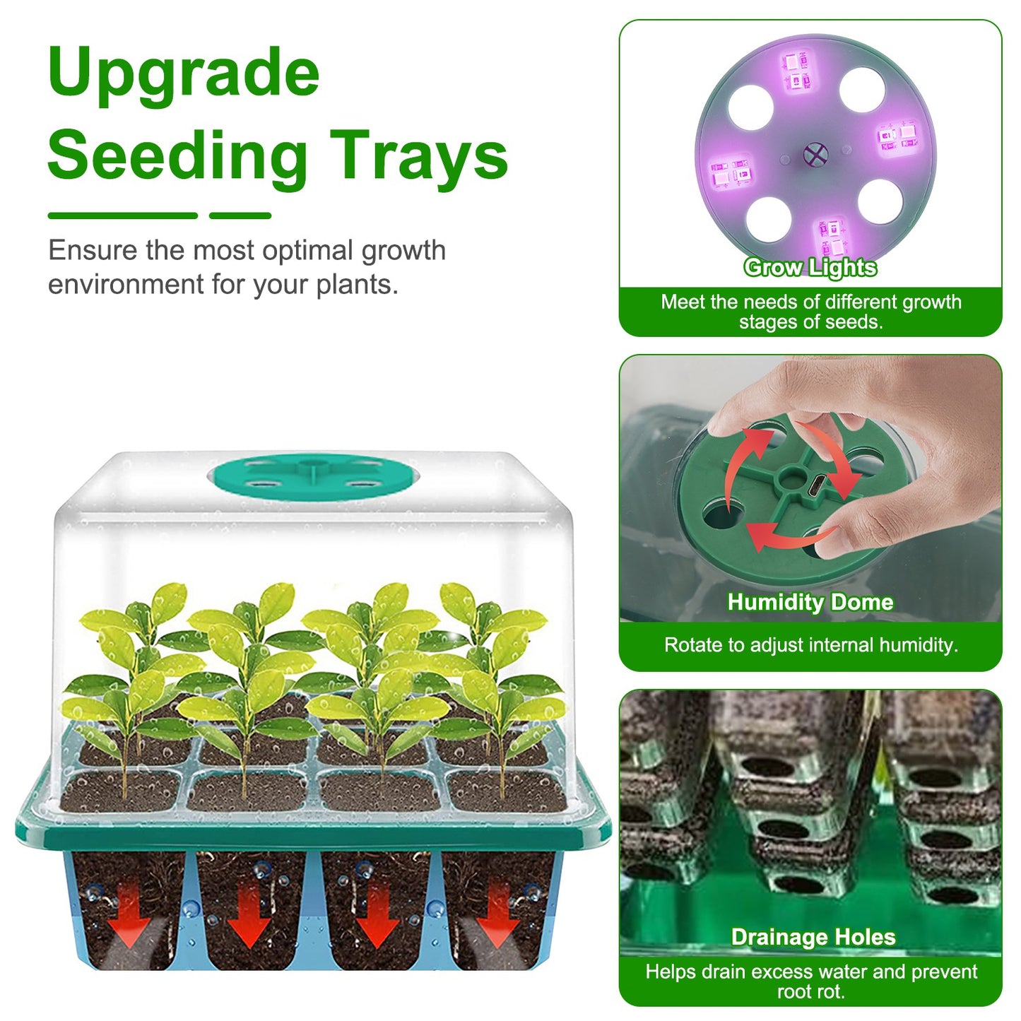 5-Pack Seed Germination Kit with Grow Light & Humidity Dome