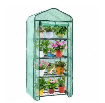 Greenhouse with Multi-Tier Plant Shelves