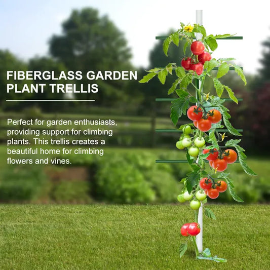 Climbing Trellis for Flowers & Vegetables