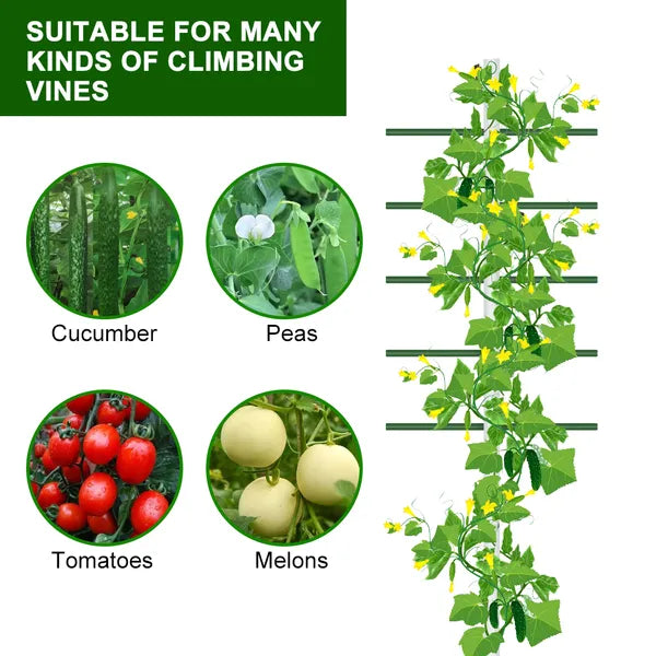 Climbing Trellis for Flowers & Vegetables