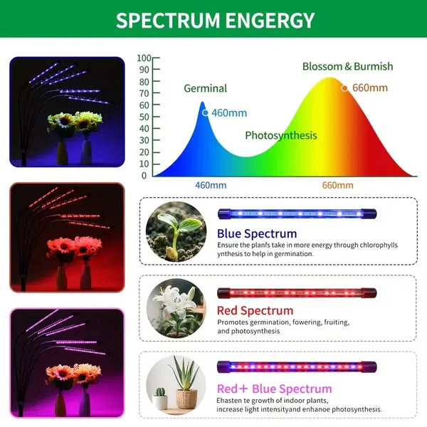 Full Spectrum LED Grow Light