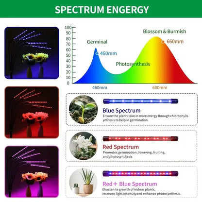Full Spectrum LED Grow Light